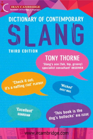 Dictionary of Contemporary Slang