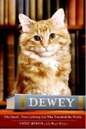 Dewey: The Small-Town Library Cat Who Touched the World