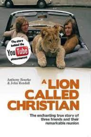 A lion called Christian